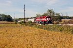 T006 cuts across the fields near Thresherman's Park